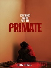 Primate